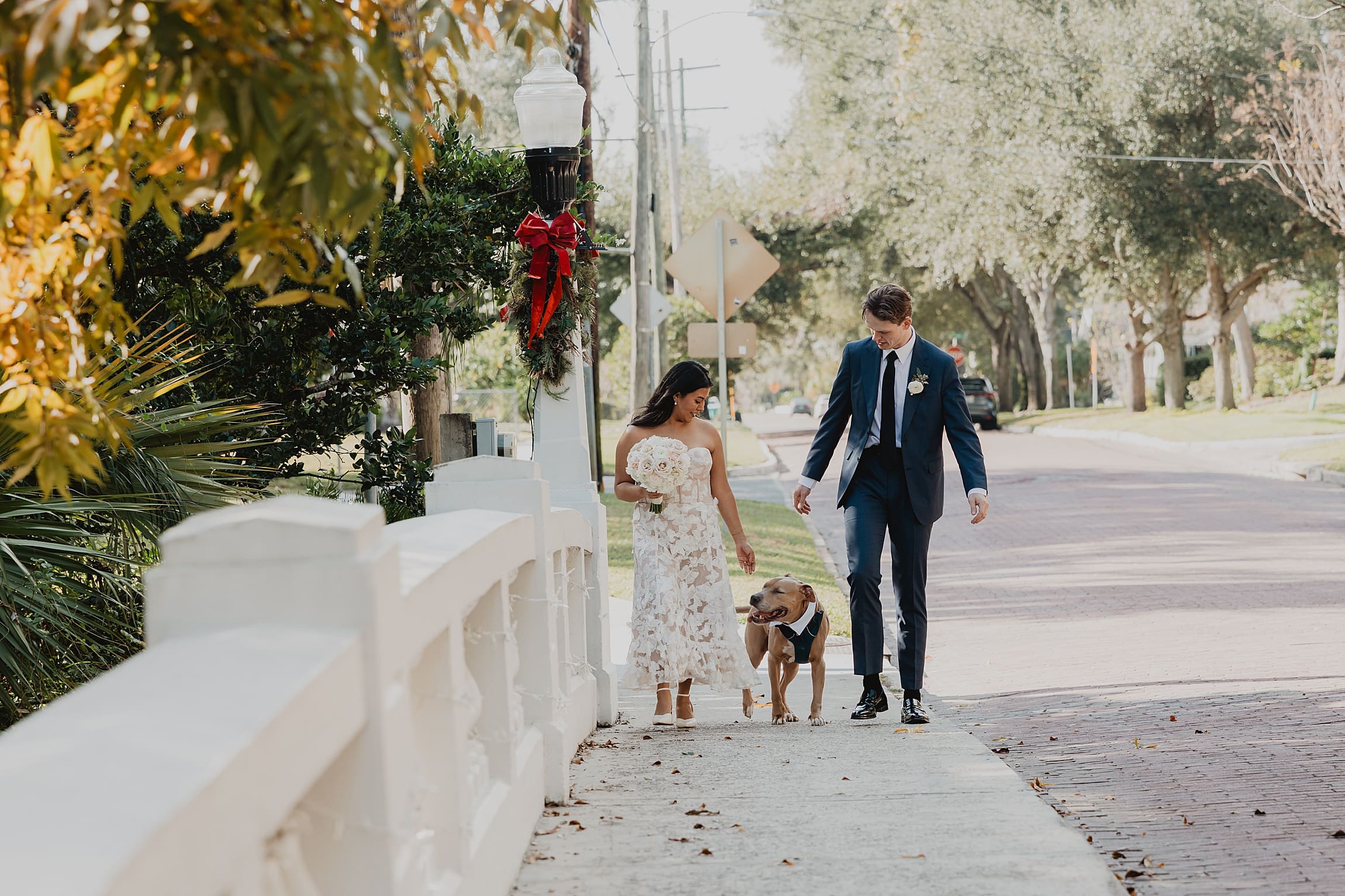 newly married couple holding hands on washington bridge in orlando with their dog, Berry, walking between them. A bright and airy family portrait from their winter park courthouse elopement.