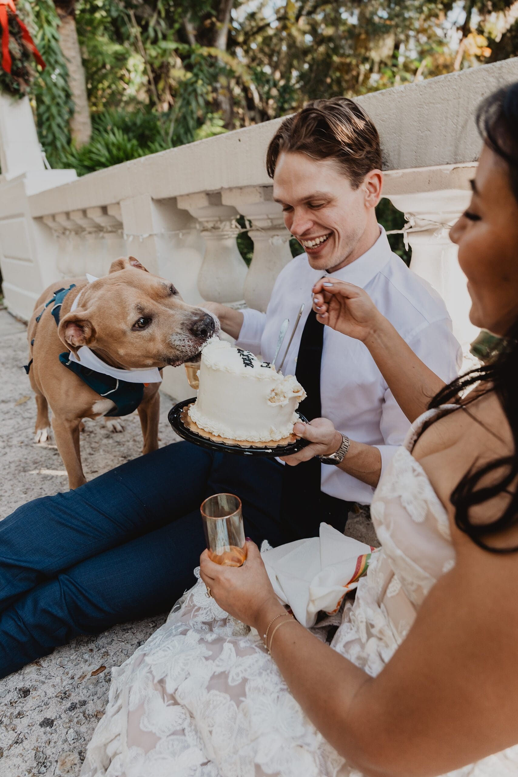 newly married couple enjoying a celebratory roadside cake picnic and champagne spray after their Winter Park courthouse wedding. A joyful, high-energy ending to a last-minute elopement.