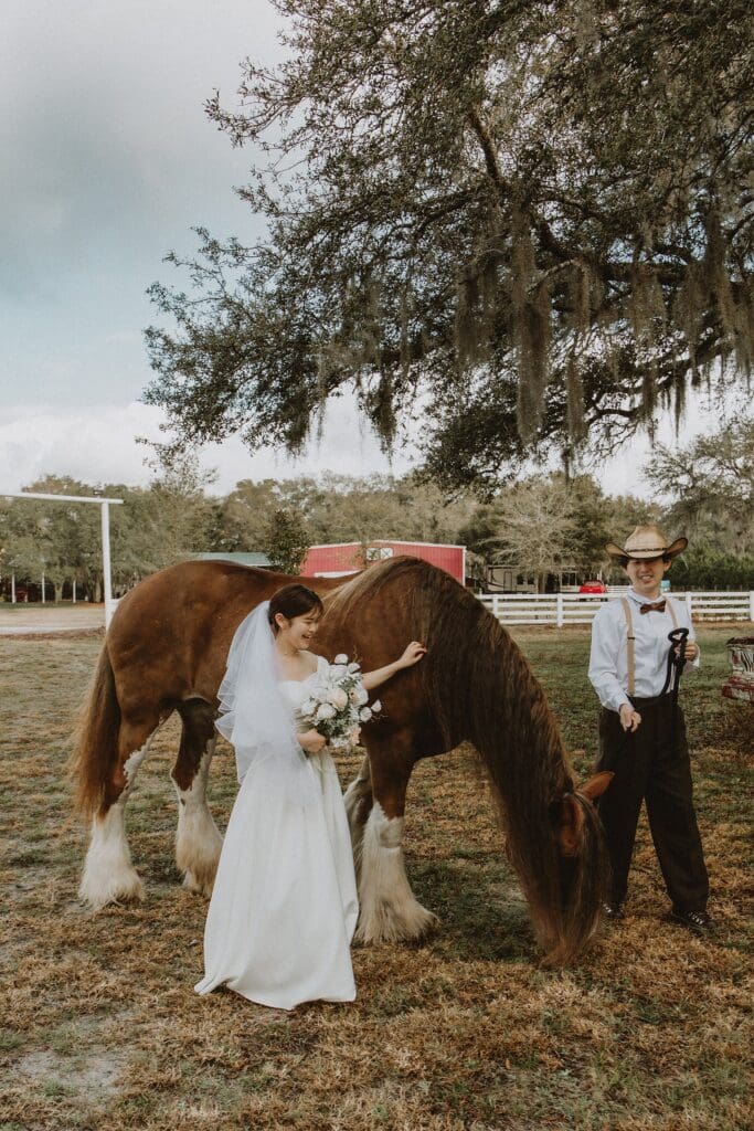 bride and groom in a wedding dress and western wear interacting with a Clydesdale horse at Horsepower Ranch in Geneva, Florida, captured by Gracie May Photography