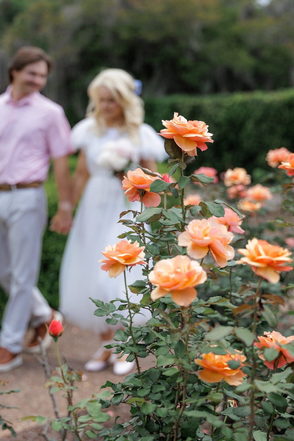 Whimsical Disney Princess Inspired Leu Gardens Engagement Photo Session -  Central Florida Micro Wedding and Elopement Photographer